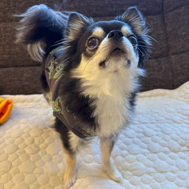 B5641158 ed7d 46b4 b4cc a4985c475459 1740844706503