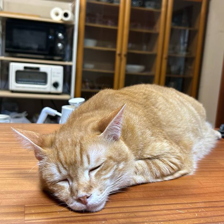 B564156d edfe 46e7 85ac 5f4322f591f9 1691356680098