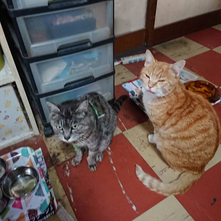 B56418b9 f30d 4189 9740 18cfff47e27b 1587250576552