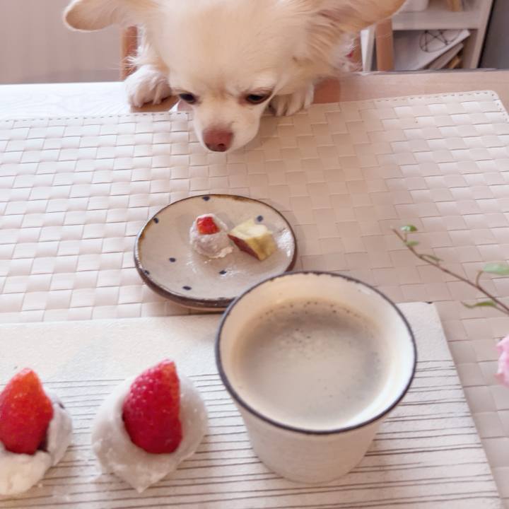 B5642fb1 287e 475a 825c 3873ff9fd0d9 1738675632326