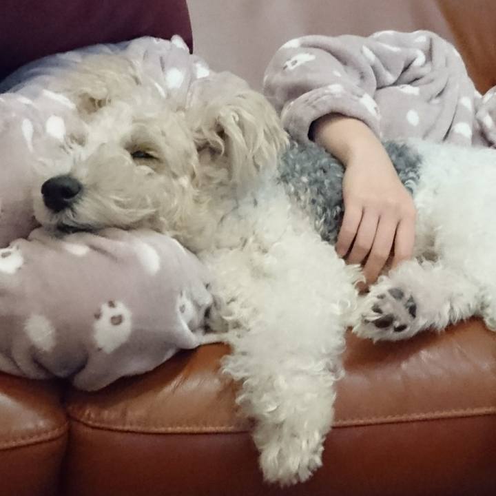 B5643767 45b8 4c47 8cb0 44daa75f9c6a 1580306476368