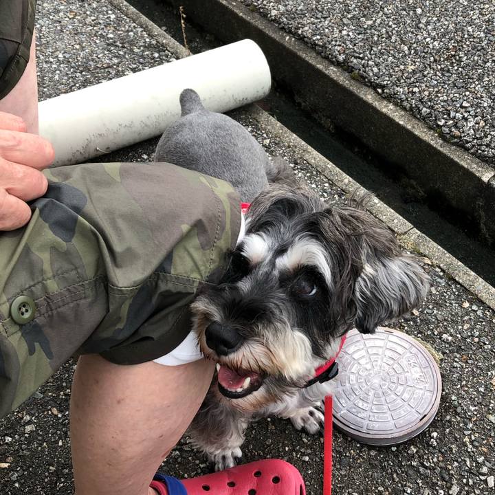 B5647917 e789 4fdb ba7d 52d62bed77e7 1566613086602