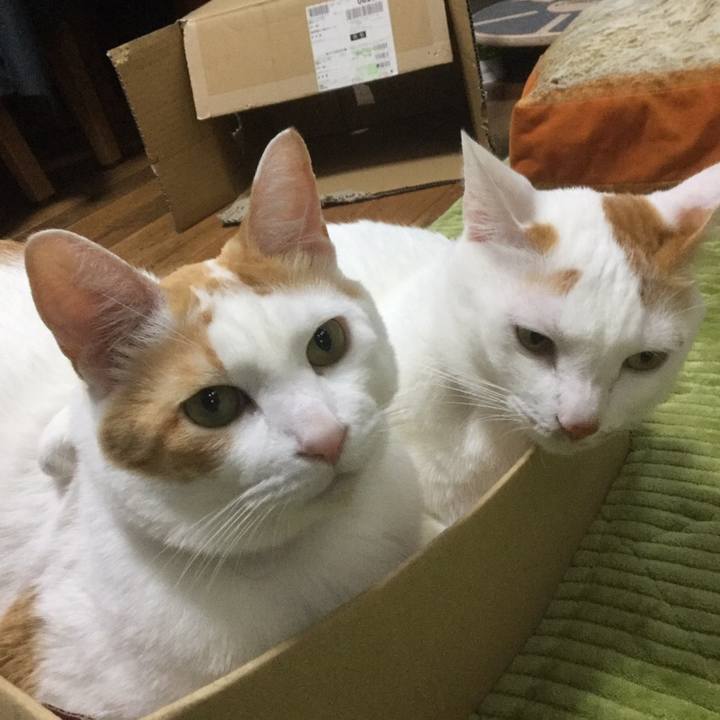 B564982a aae0 46a0 bbb0 8d6bef8c2a63 1545071169398