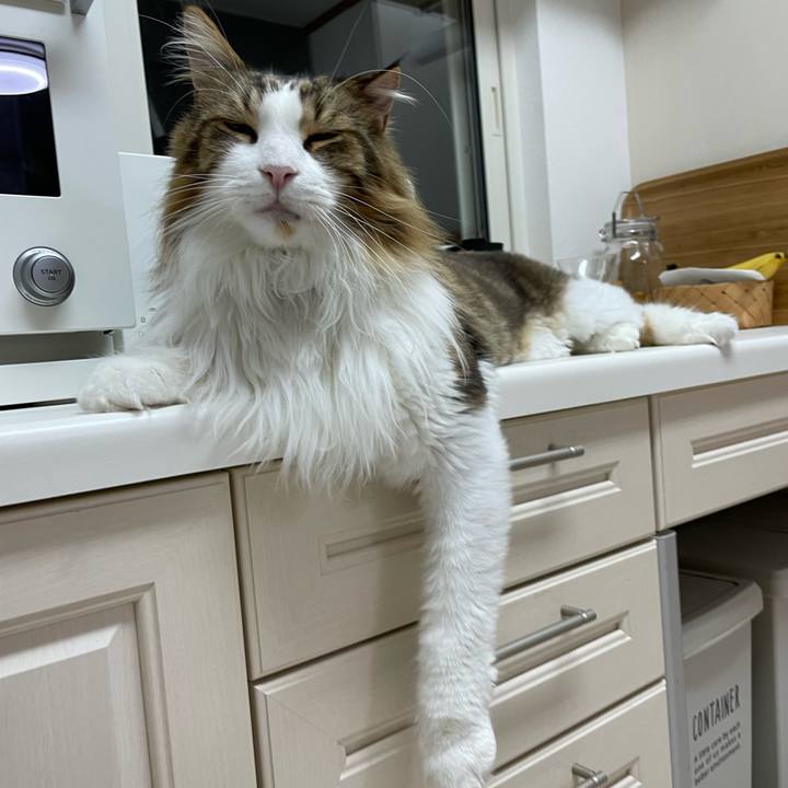 B564a26f 12e3 449d b96a 6f1f64e9c533 1690660158535