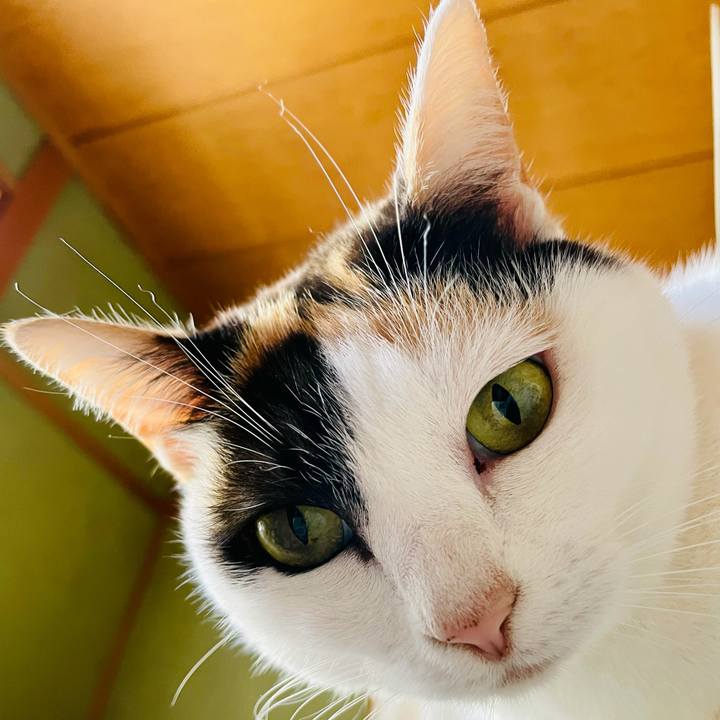 B564c70e 77d5 4404 b839 698baaa8127d 1615603164738