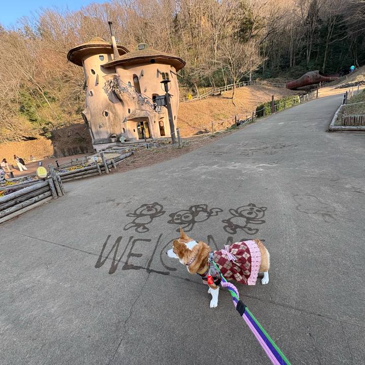 B564ea56 f999 459a 926d ce34acefa92d 1771153617987