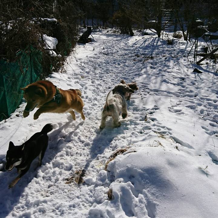 B564ee54 7a19 42e0 8db7 b28d8919e41c 1517030377637