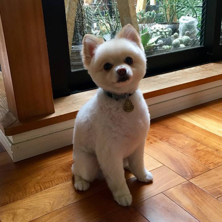 B5650a0d d893 4ac9 b6c1 fe7a5db613c8 1561332133653