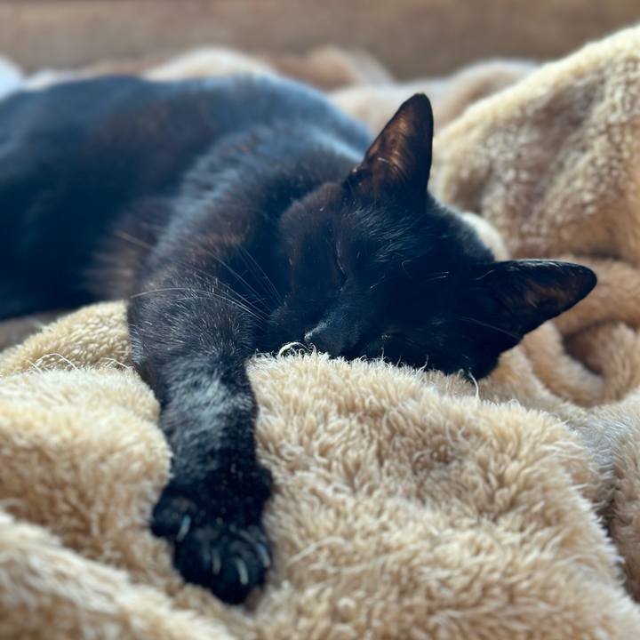 B56519f2 cbd9 4198 9cde 5e780a190f40 1699578260704