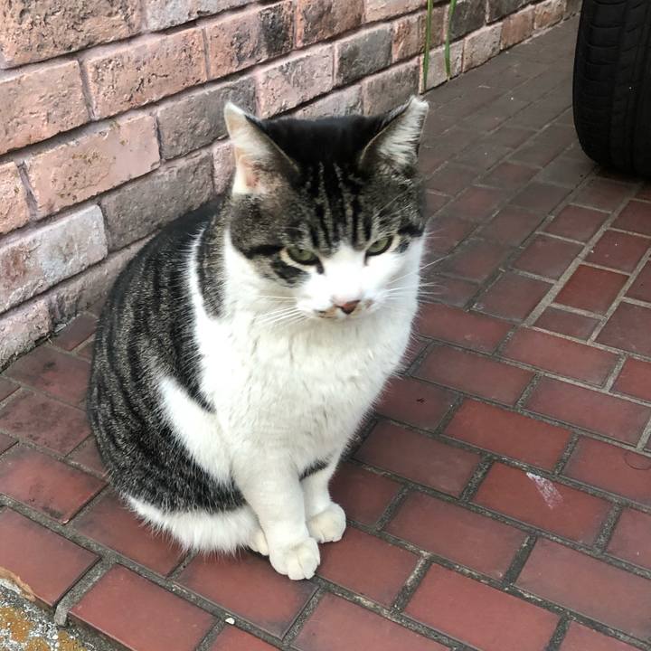 B5655514 5e9d 4f3d a3ac db1c027a2ae4 1552035023564