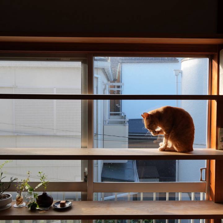 B56575b6 7e53 41b2 8e87 e86e38664c78 1731972919555