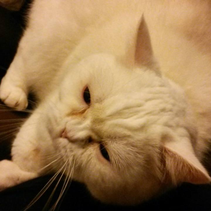 B56588e5 eaba 4bdc adbb d157d3678e0b 1522278670159