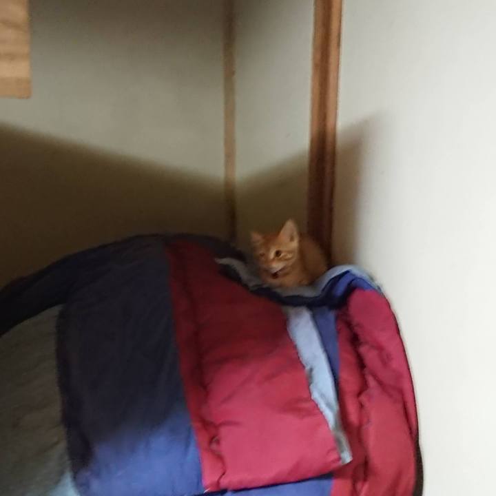 B565ada5 c642 4818 bb5e 6d2c942142c3 1651061806859