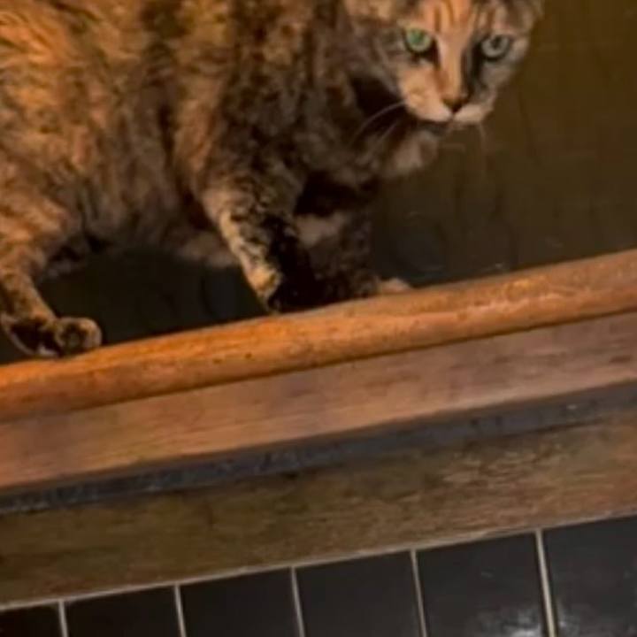 B565dcc6 a368 4b05 8ae0 cc18e646f5ce 1775852811816