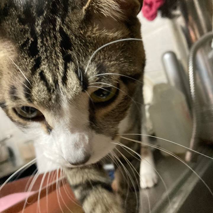 B565e339 aceb 4594 b16d 3e015edeac8b 1770033817285