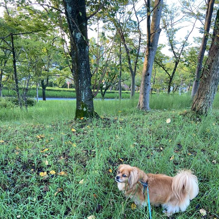 B5665633 b27d 49eb 858d ed5d4699d75c 1599859660123