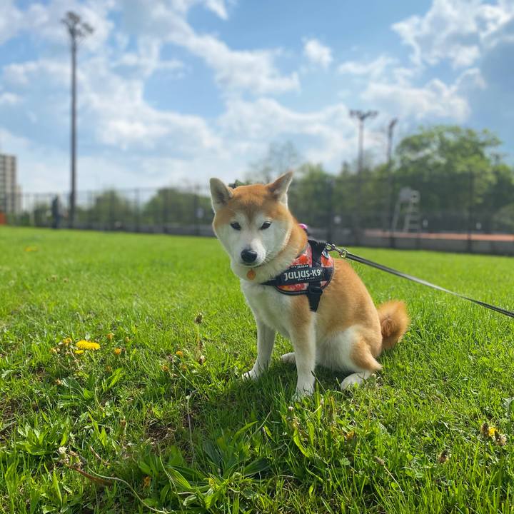 B5668a51 835d 457d b568 bcd9183f77cf 1621906907436