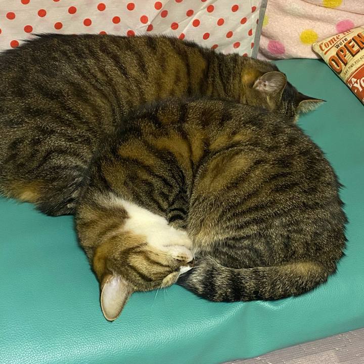 B566b0d5 115b 40c1 93de b8a0ebd1eeb3 1637099100888