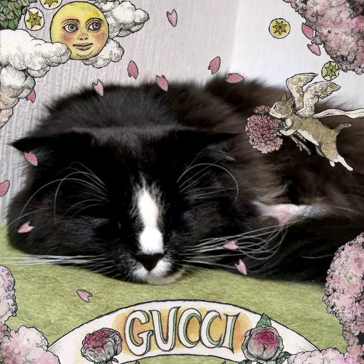 B566b2d1 67ec 4138 a574 d05724b65b69 1678366313302