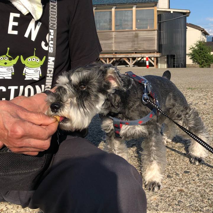 B566f07f 4b8f 471f 9826 bbf70ab6ec05 1653741335734