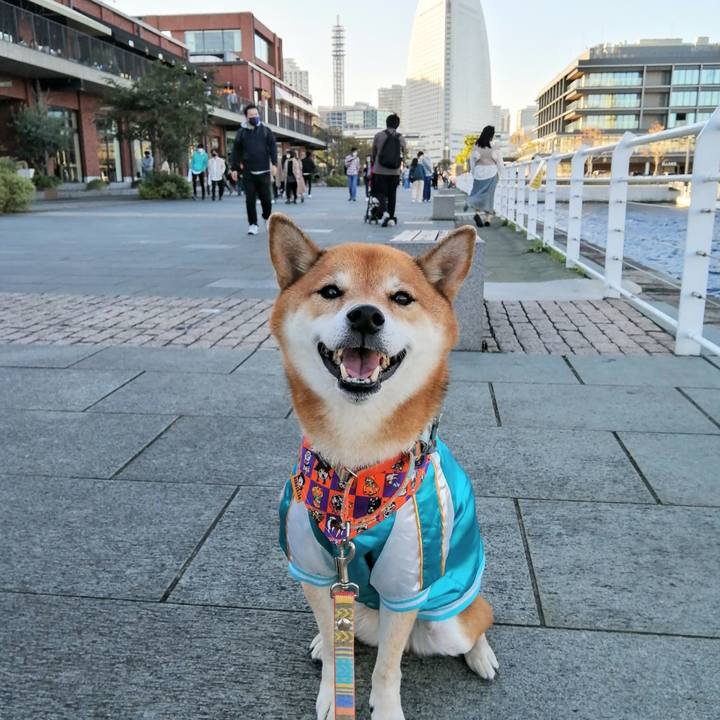 B566fa46 635b 4599 a8b0 415da54ac07d 1634987093755