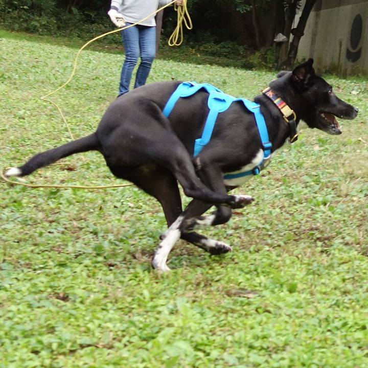 B5675ab6 103e 44b0 b712 5056da952a85 1604620125697