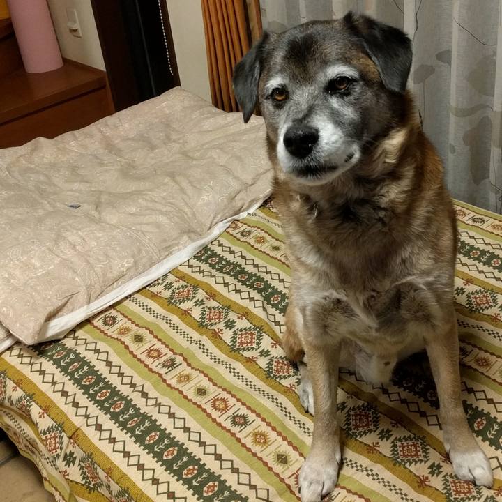 B5676f70 cda3 485b ae40 10a5c09135b9 1517824587431