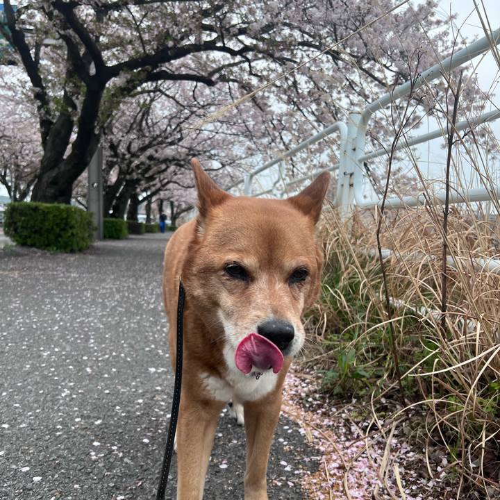 B5678753 8591 4e68 a32a 5b8166b1553e 1775537086143