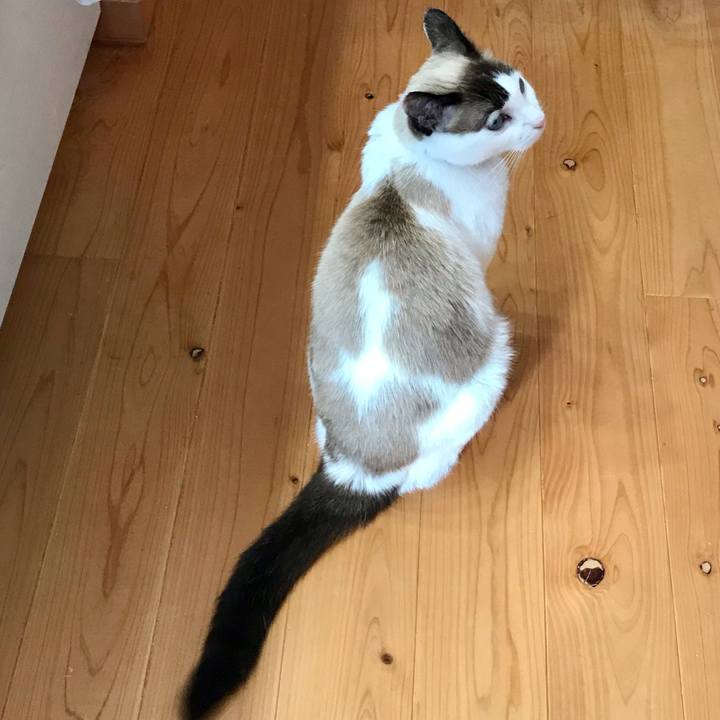 B567a6a7 99d7 477b a4e9 dafdb483962c 1610073242308