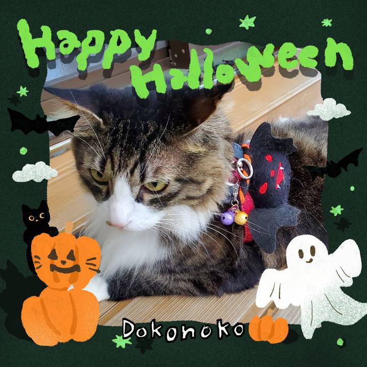 B567c755 8fc0 43af a735 4de378c56a15 1729140520249