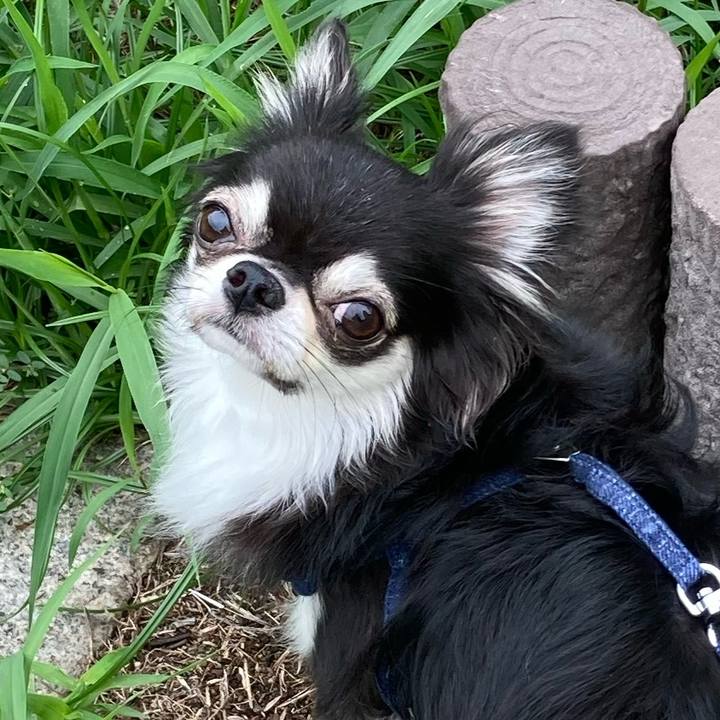 B567d1e2 19ca 45fa 9261 9904b058baf5 1661077003116