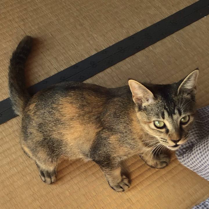 B567f4ce c66c 4f8e b4cb bfe7304f2894 1573795931305