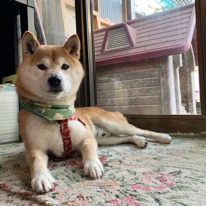 B5683ee3 cbb8 48fb 8d78 aec7e4866585 1587289341113