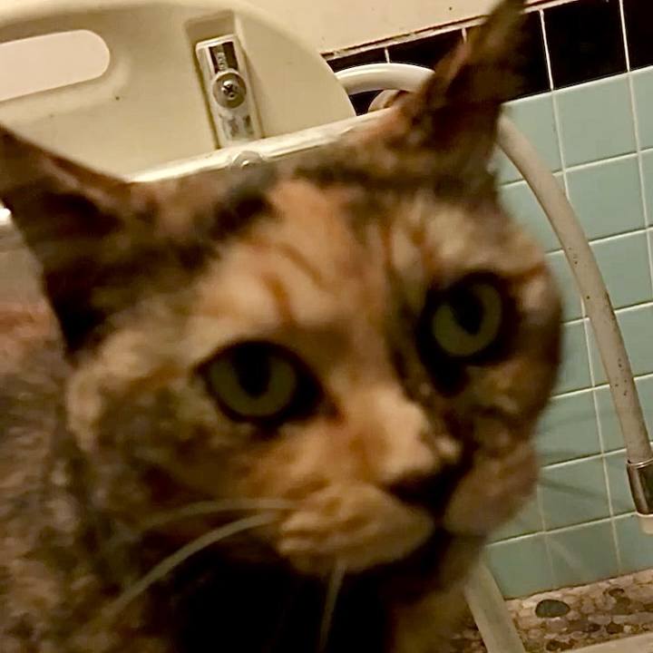 B568412b d354 4b17 9c5b 939cb087874a 1762374553447