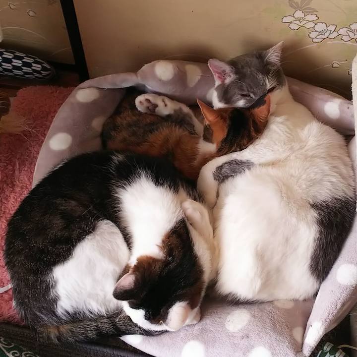 B56856d1 0184 4644 8983 3252db43c992 1557924163010