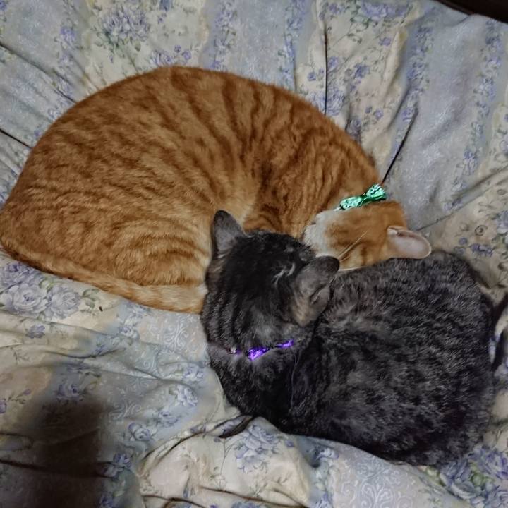 B56864c0 24a0 4fb2 95aa 7a0ac419ad43 1579870718831