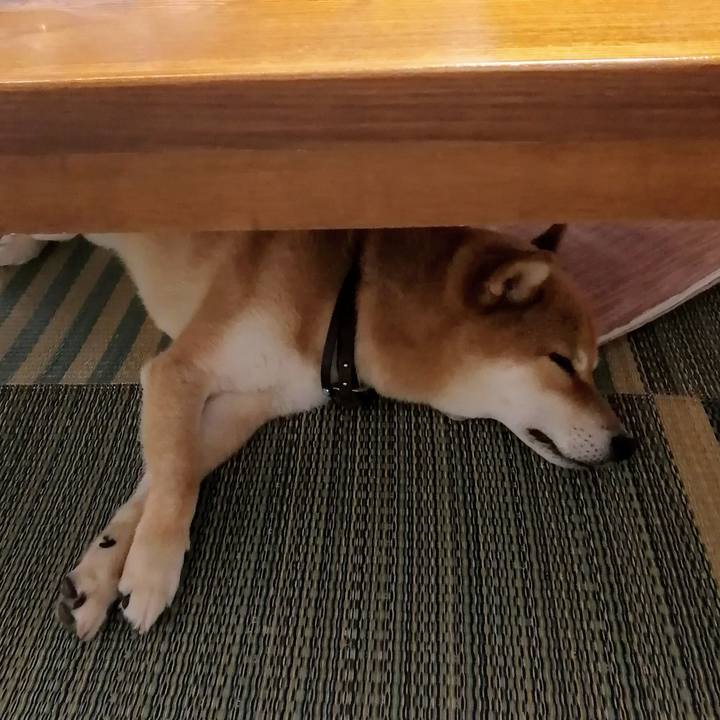 B568a244 0a54 4d41 9633 af7d06a0bd53 1593257635779