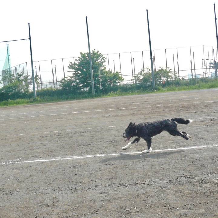 B568a837 0417 40d7 a345 3c9fb079cabb 1582713899233