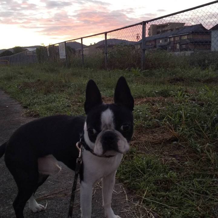 B568b18e 4794 453e 88e6 c678df089599 1632692884388