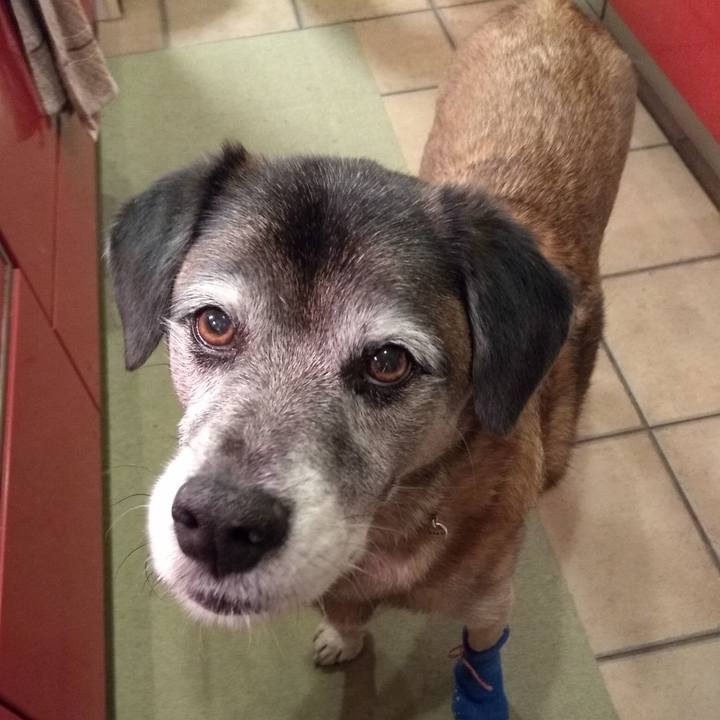 B568b18f f8ad 4921 9949 d1a5327bc04a 1547559539674