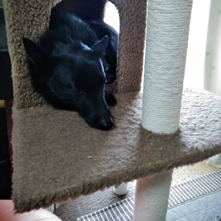 B568d6f1 5a04 4c3a 8b0b 9611c83c0c58 1554537106798