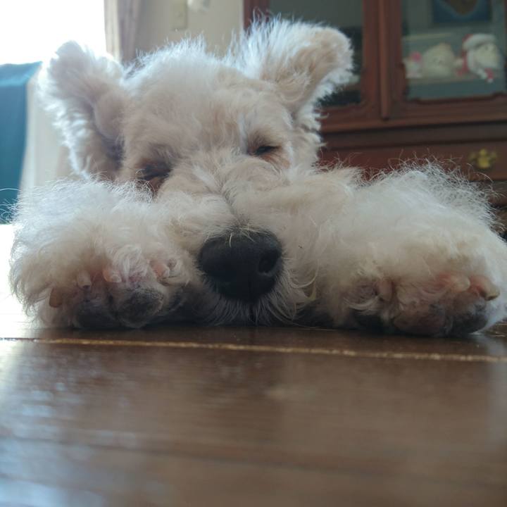 B5690400 750c 46a6 bc82 3e8ee73a8ad8 1524969060601