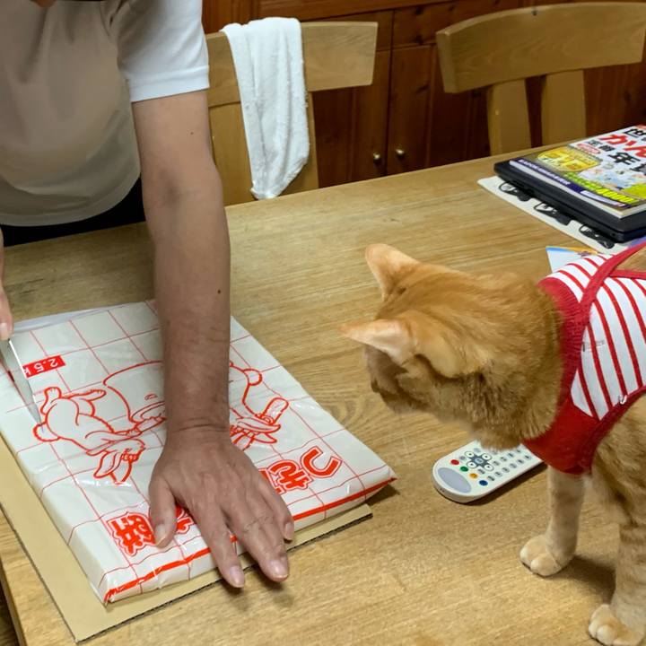 B56951c3 ba4f 460c b4ca 2e73baa9e026 1577536324795