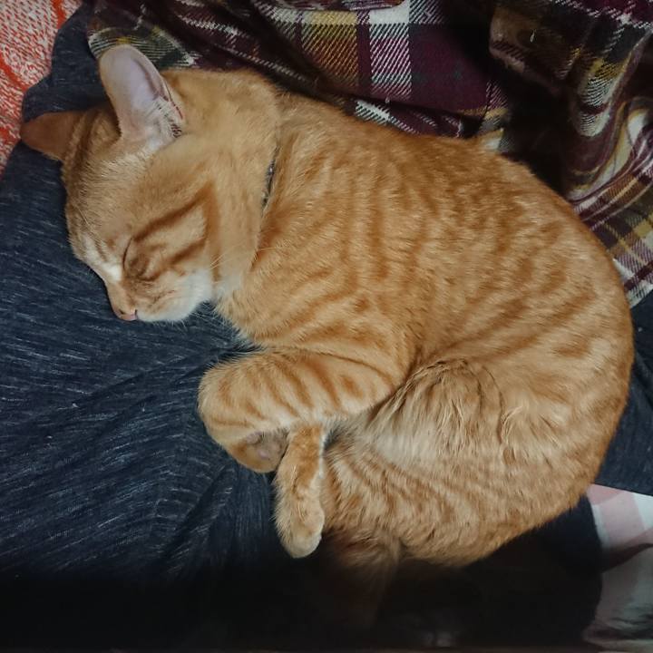 B56993ba 66ed 4a26 8c36 908ef409c729 1648899369637