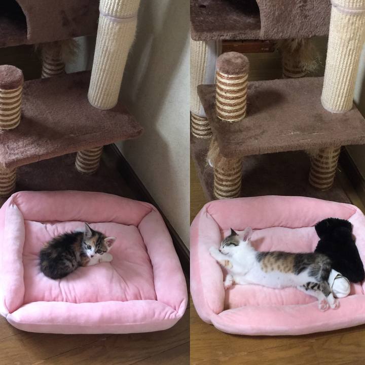 B5699fe5 4fc8 44a0 943e 7e60e5e2d35c 1629596509876