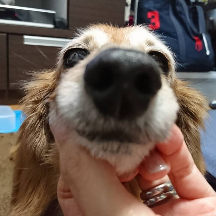 B56a17c3 7668 4cc2 af92 1506dcfa0139 1514960142283