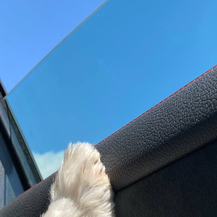 B56a4a17 b262 495a 8777 1e9618dc586a 1654388010265