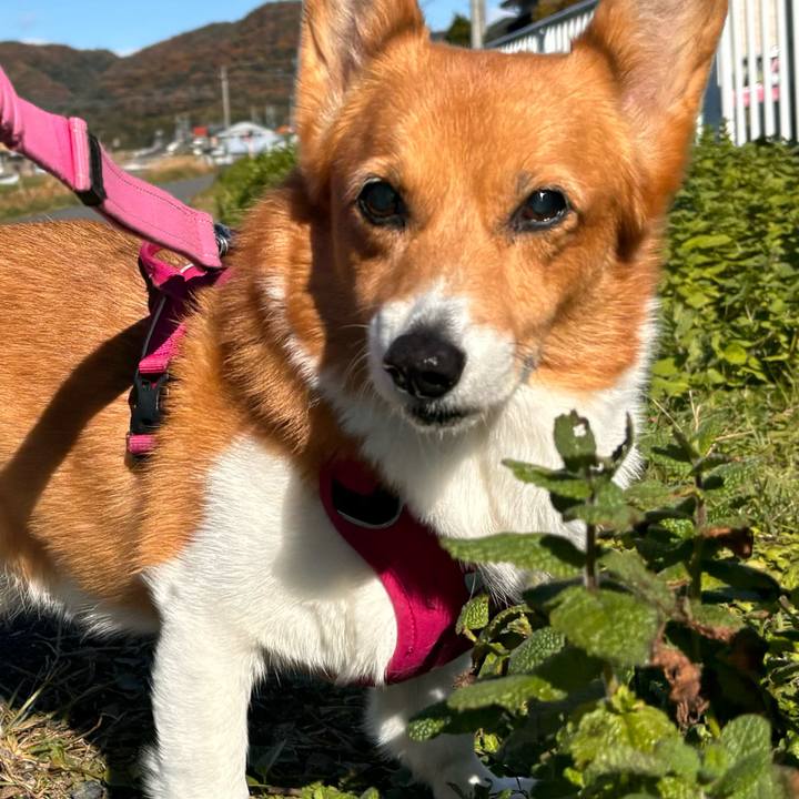 B56a55b3 ab91 4153 b3eb 3476a1bfcfce 1732850302011