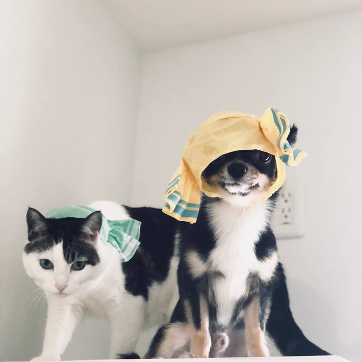 B56a6255 120f 4b64 8635 2b243ff6e924 1533941323434