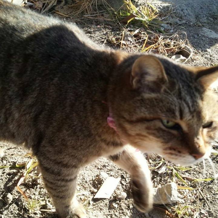 B56a88bb ff75 4995 97f4 f60219c089fa 1516068010382